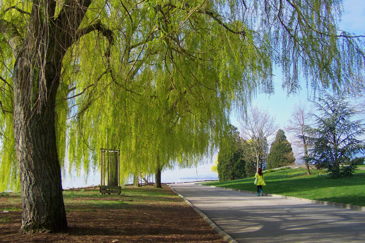 #01 Promenade in Neuchatel