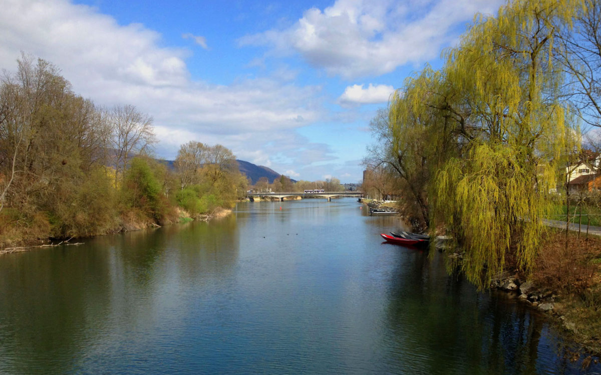 #41 Frühling an der Aare